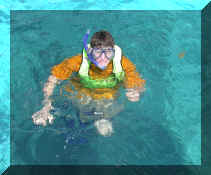 snorkeling1web.jpg (55172 bytes)