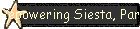 Repowering Siesta, Part 2