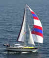 Siesta-Sails-Baja-Start-Web.jpg (27634 bytes)